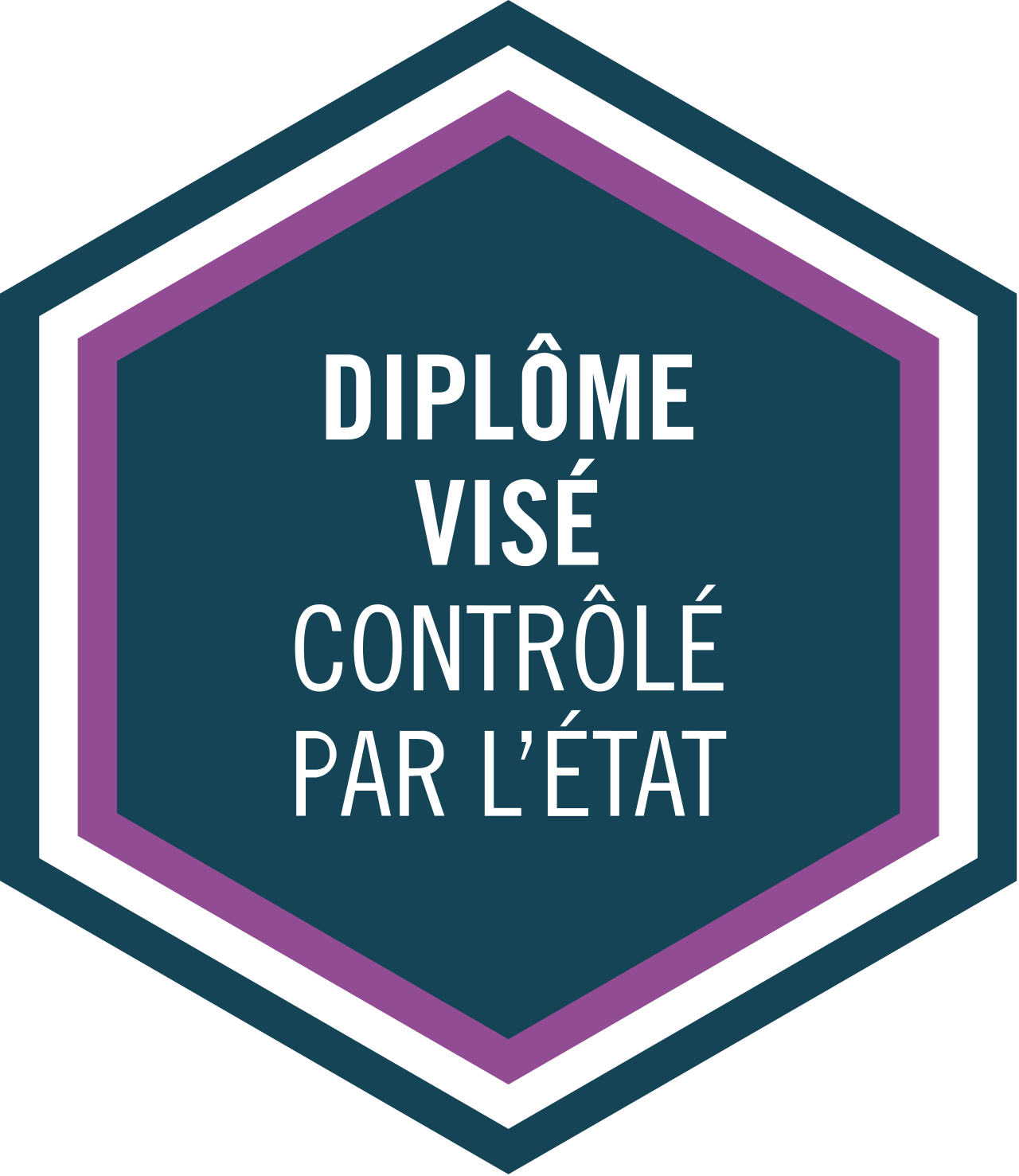 Diplôme visé par l'État - Bac+5