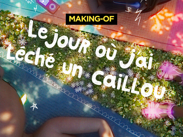 Actu Film d'animation MoPA : Making of du film de fin d’études « Le jour où j’ai léché un caillou »