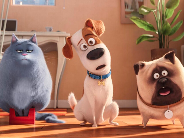 MoPA Animation news: Soline’s dream was to work for the film animation studio Illumination Mac Guff