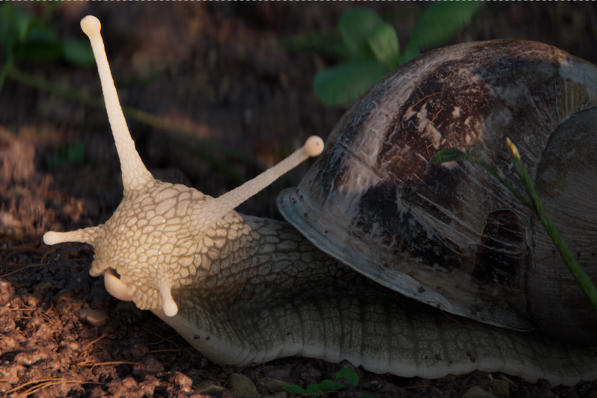 L’escargot Gaucher - Film d'animation MoPA