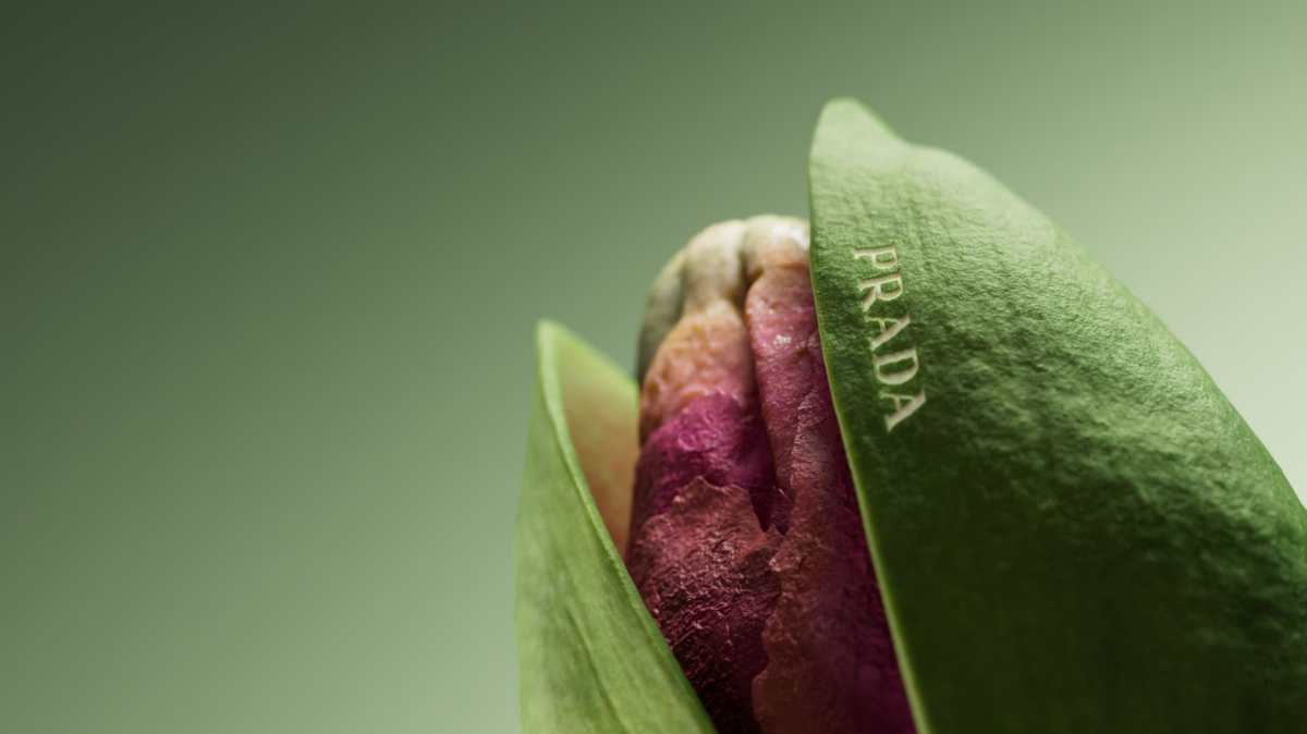 MoPA - exemples réalisations